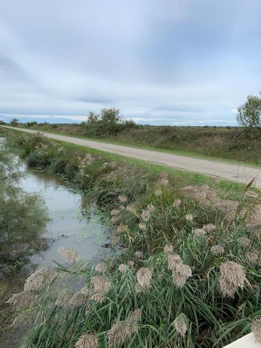"Le Nature" Camargue Jardin Arles Exterior foto